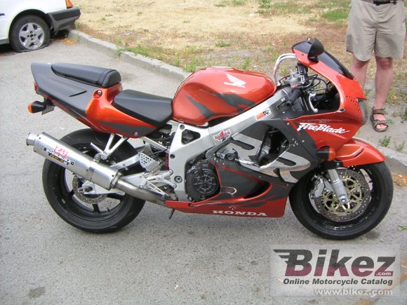 Accossato Bremsbeläge Für Honda CBR 900 RR Fireblade (1998-2003) – Organische Mischung
